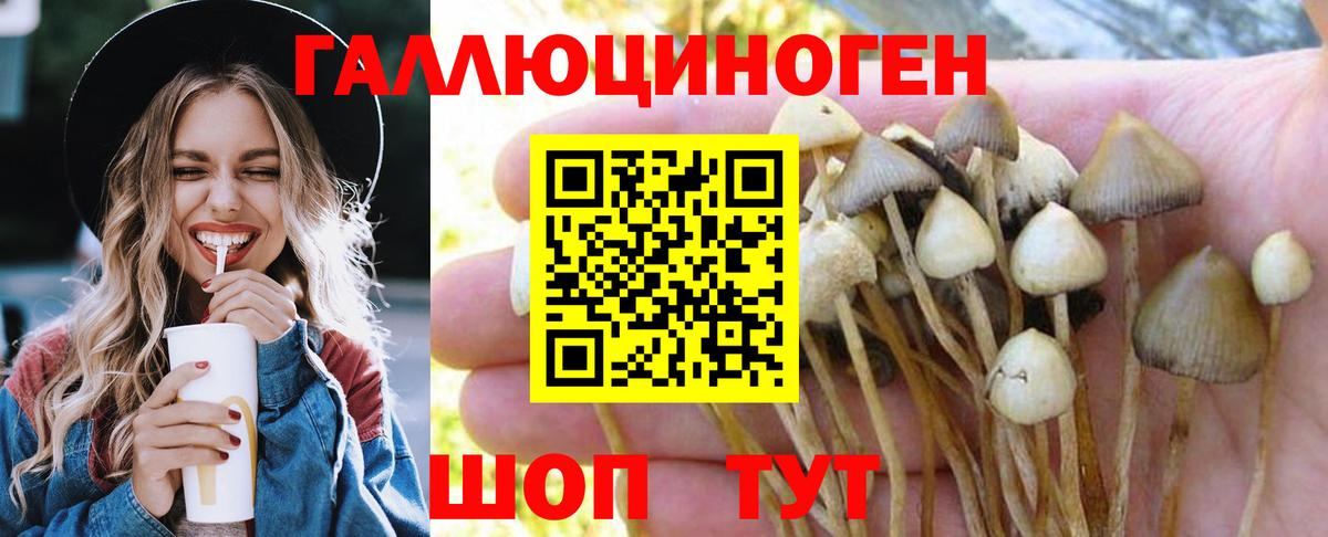 Псилоцибиновые грибы мухоморы Армавир