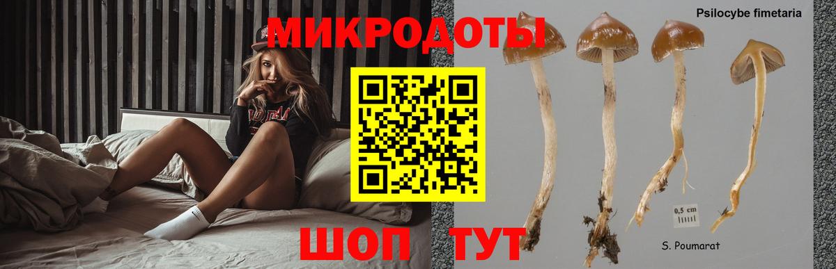 Псилоцибиновые грибы MAGIC MUSHROOMS  Псилоцибиновые грибы мухоморы  наркотики  Вход с VPN  Армавир 